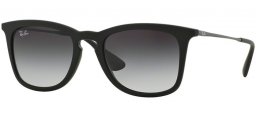 Ray-Ban® RB4221