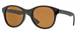 Ray-Ban® RB4203