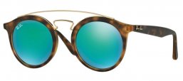 Ray-Ban® RB4256