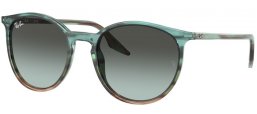 Ray-Ban® RB2204