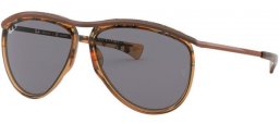 Ray-Ban® RB2219 OLYMPIAN AVIATOR