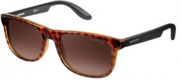 Gafas Junior - Carrera Junior - CARRERINO 17 - 2XF  (02)  HAVANA BLACK // BROWN GRADIENT