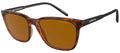 Arnette AN4291 CORTEX