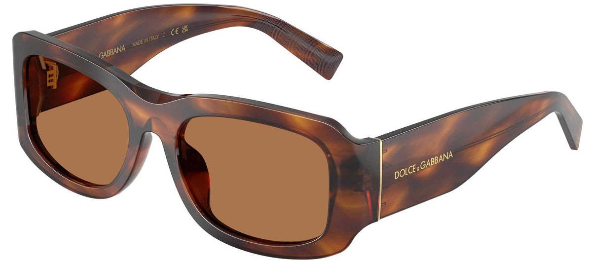 Dolce & Gabbana DG4503