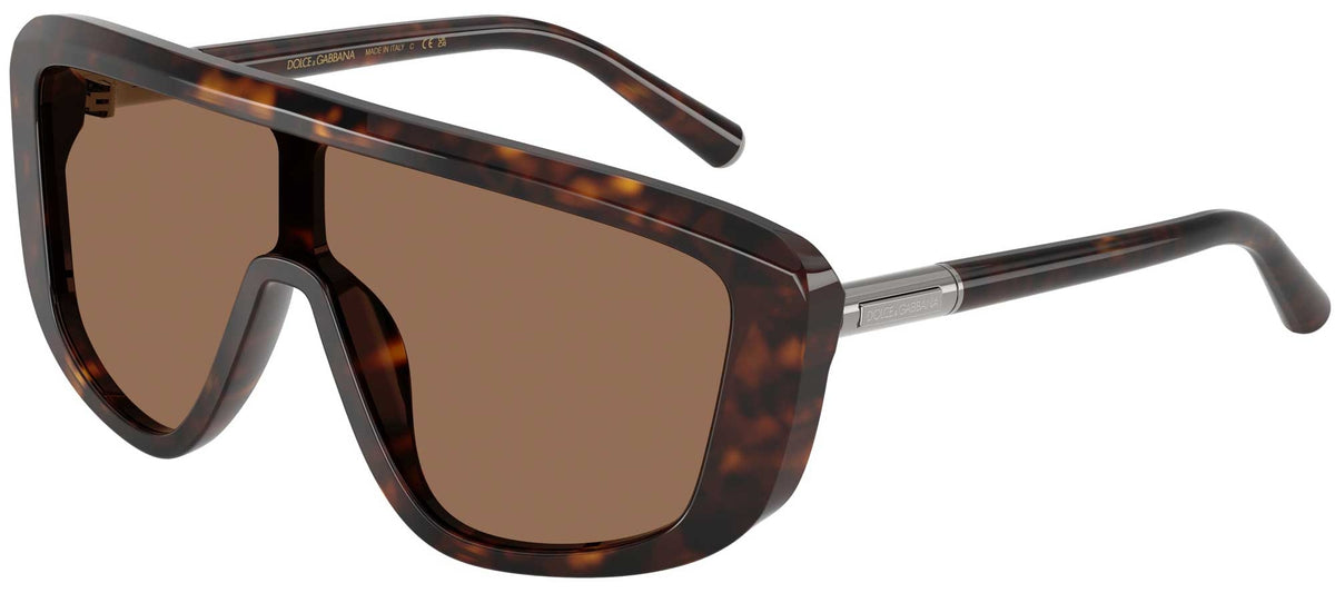 Dolce & Gabbana DG4520