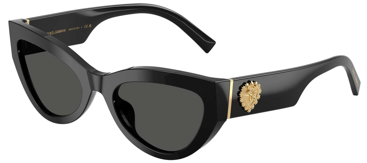 Dolce & Gabbana DG4536