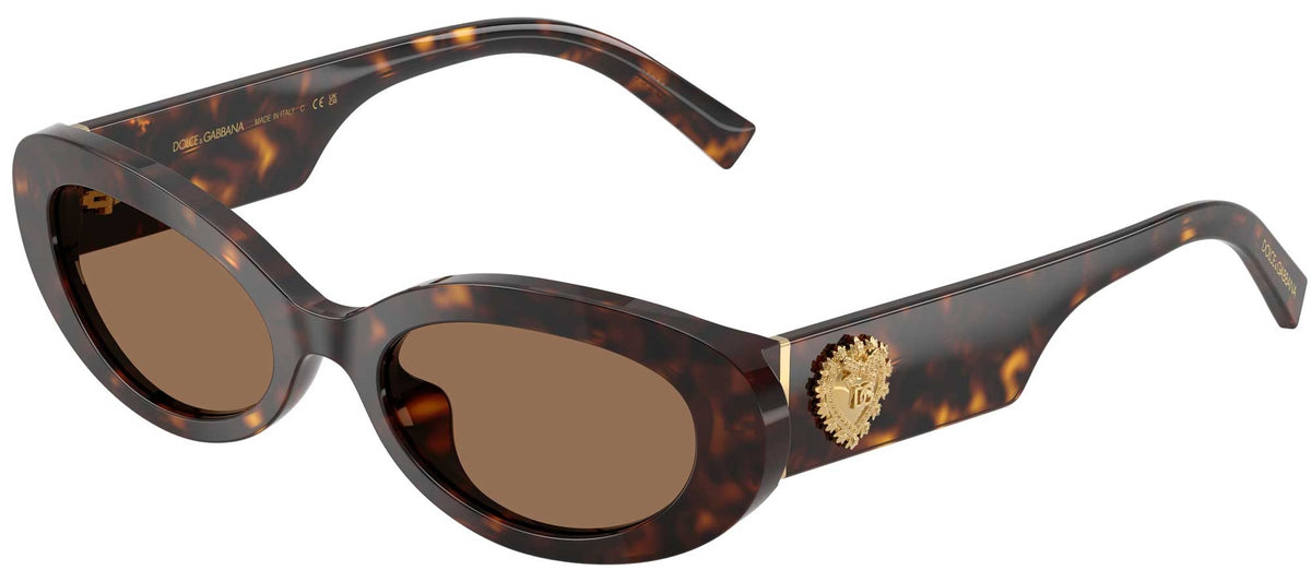 Dolce & Gabbana DG4537