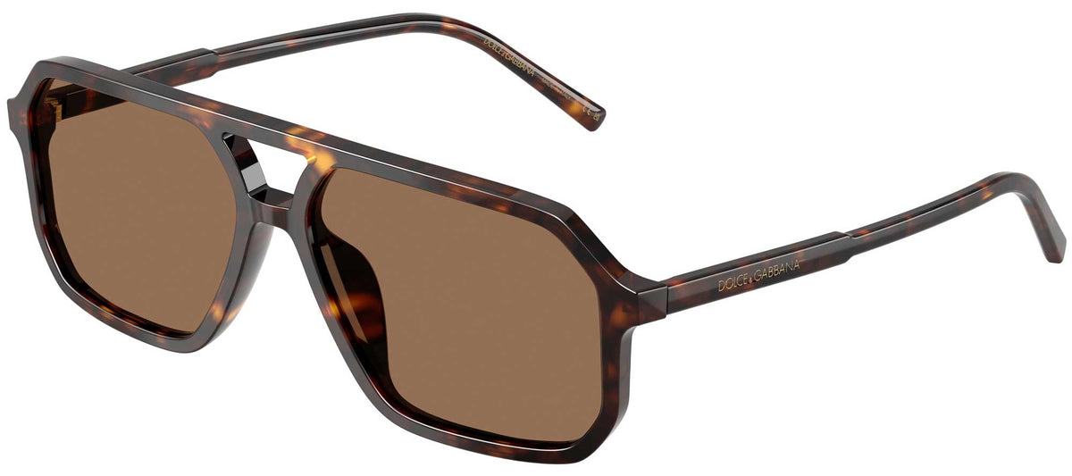 Dolce & Gabbana DG4541