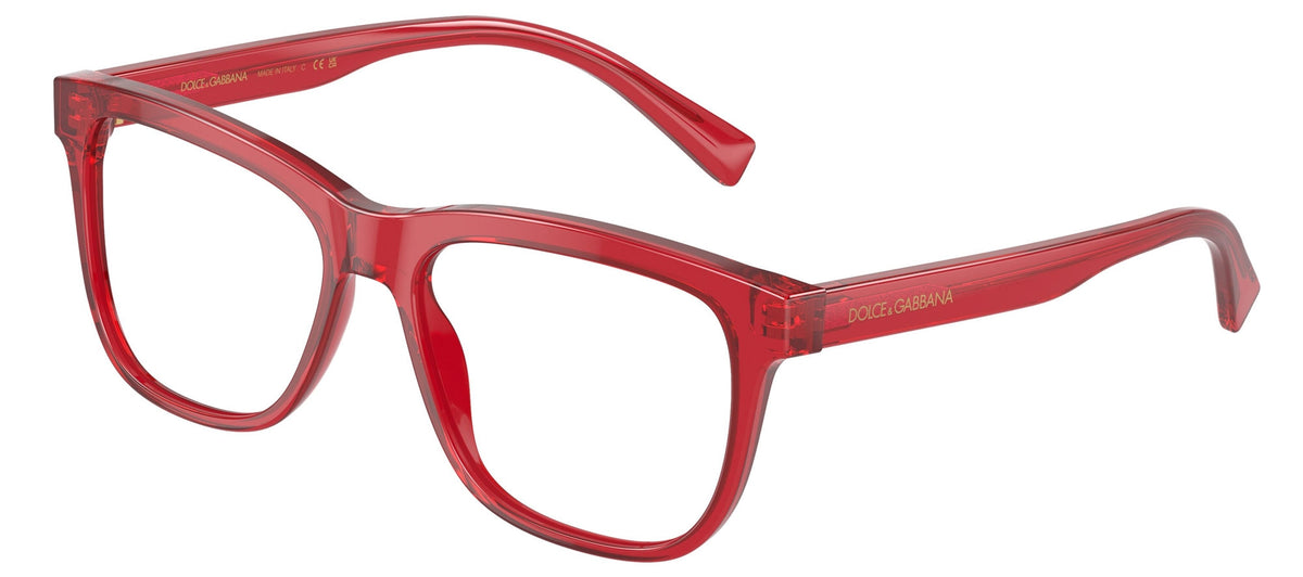 Dolce & Gabbana DX3356