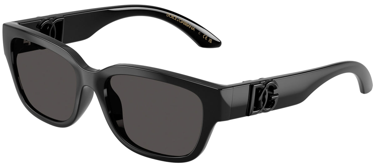 Dolce & Gabbana DX6009