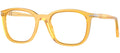 Persol PO3355V