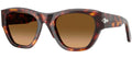 Persol PO0054S