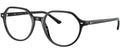 Ray-Ban Optical Collection RX5395 THALIA