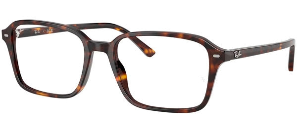 Ray-Ban Optical Collection RX5431 RAIMOND