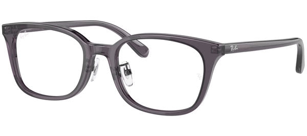 Ray-Ban Optical Collection RX5407D