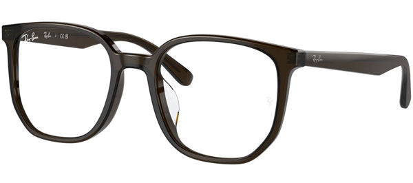 Ray-Ban Optical Collection RX5411D