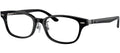 Ray-Ban Optical Collection RX5427D