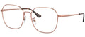 Ray-Ban Optical Collection RX6490D