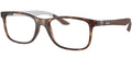 Ray-Ban Optical Collection RX8903