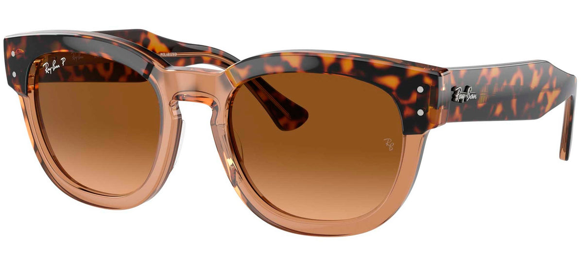Ray-Ban Sun Collection RB0298S MEGA HAWKEYE