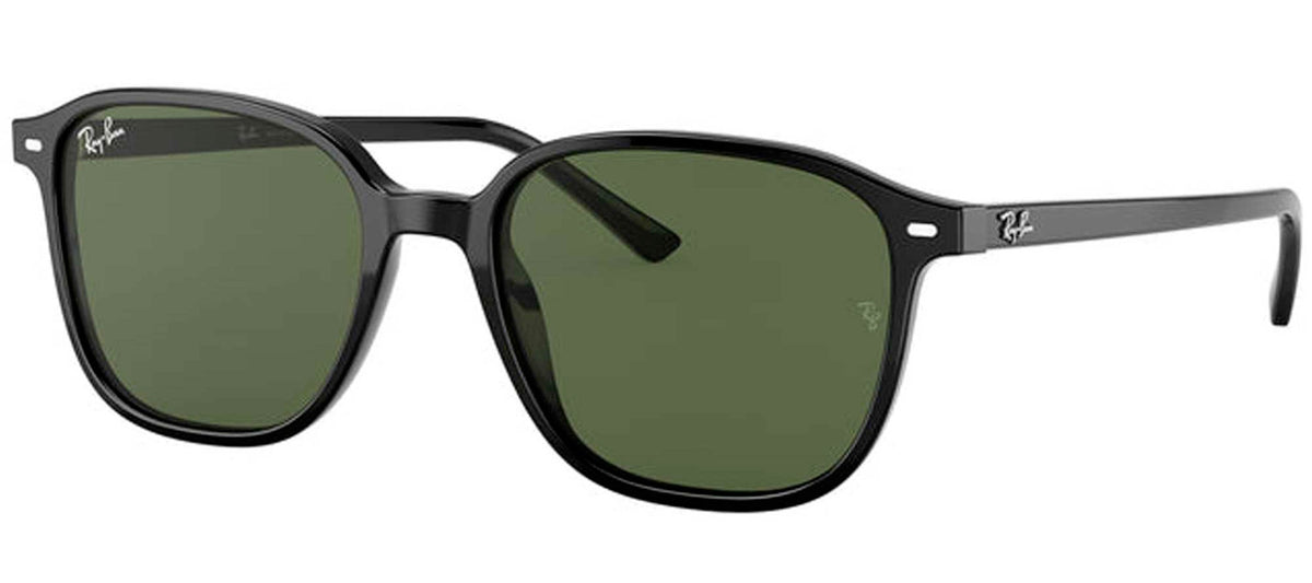 Ray-Ban Sun Collection RB2193 LEONARD