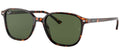 Ray-Ban Sun Collection RB2193 LEONARD