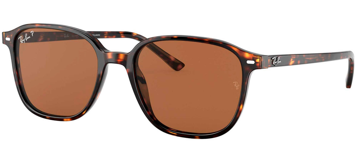 Ray-Ban Sun Collection RB2193 LEONARD