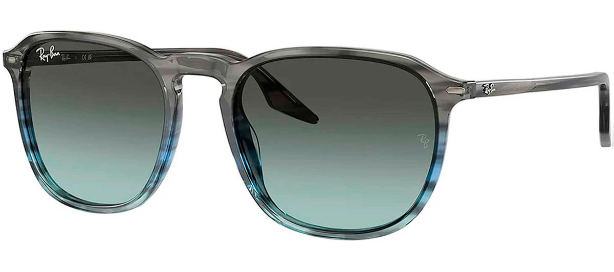 Ray-Ban Sun Collection RB2203