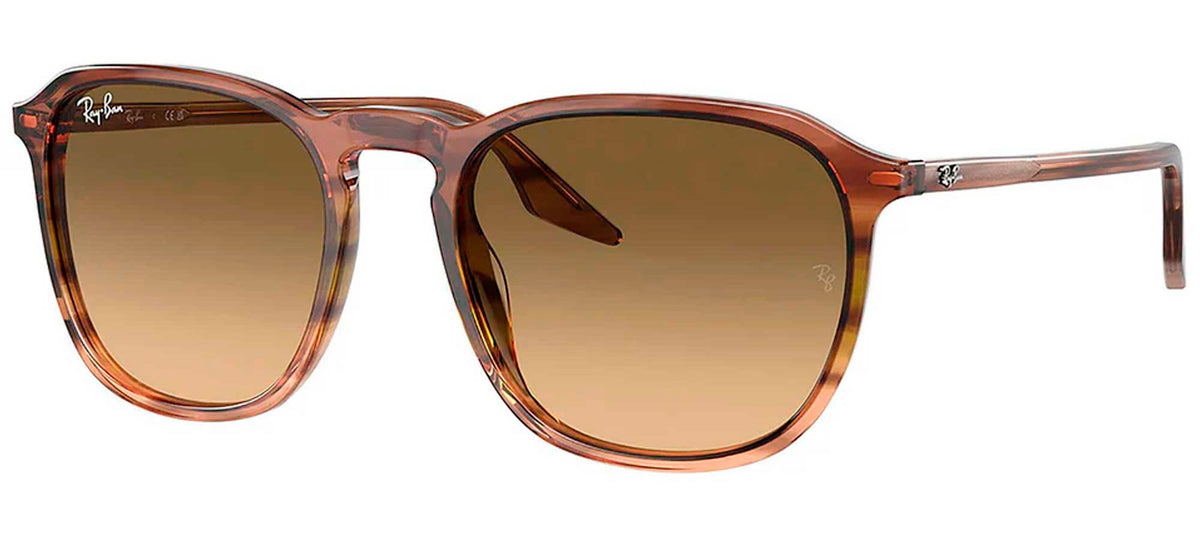 Ray-Ban Sun Collection RB2203