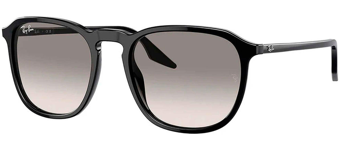 Ray-Ban Sun Collection RB2203