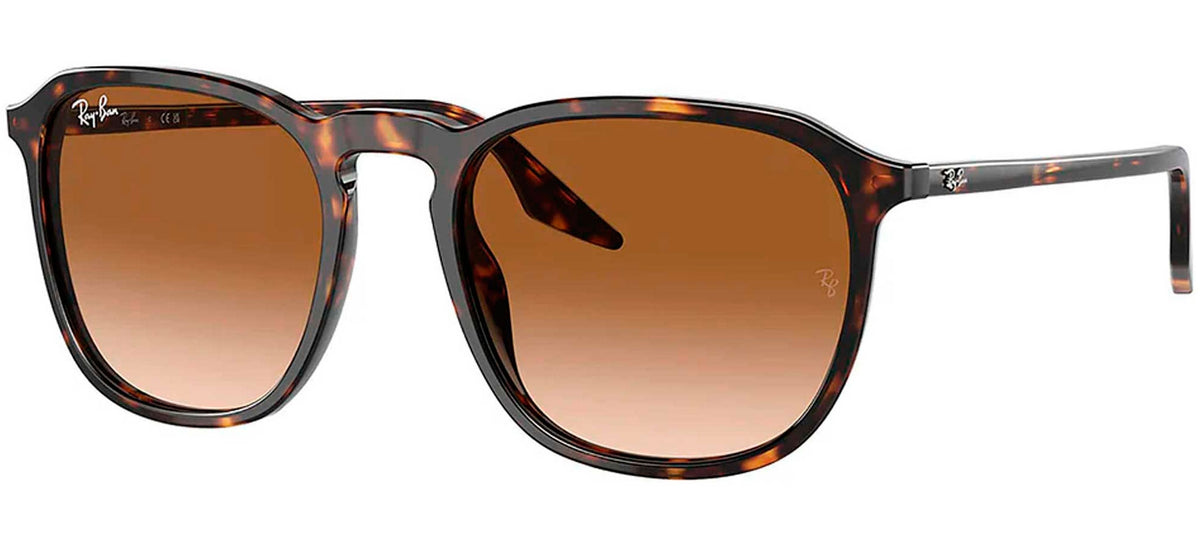 Ray-Ban Sun Collection RB2203