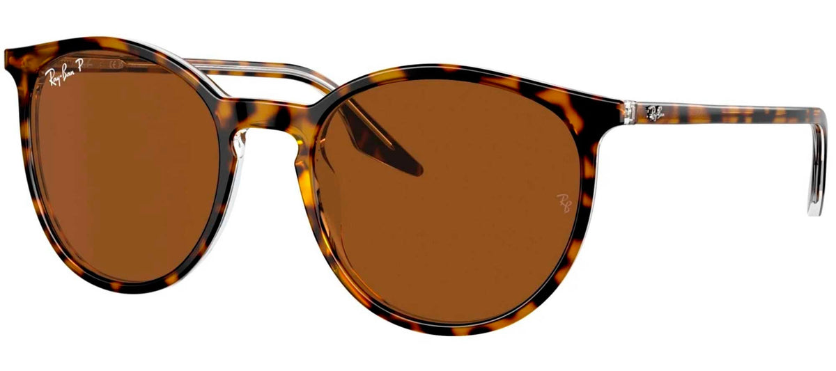 Ray-Ban Sun Collection RB2204