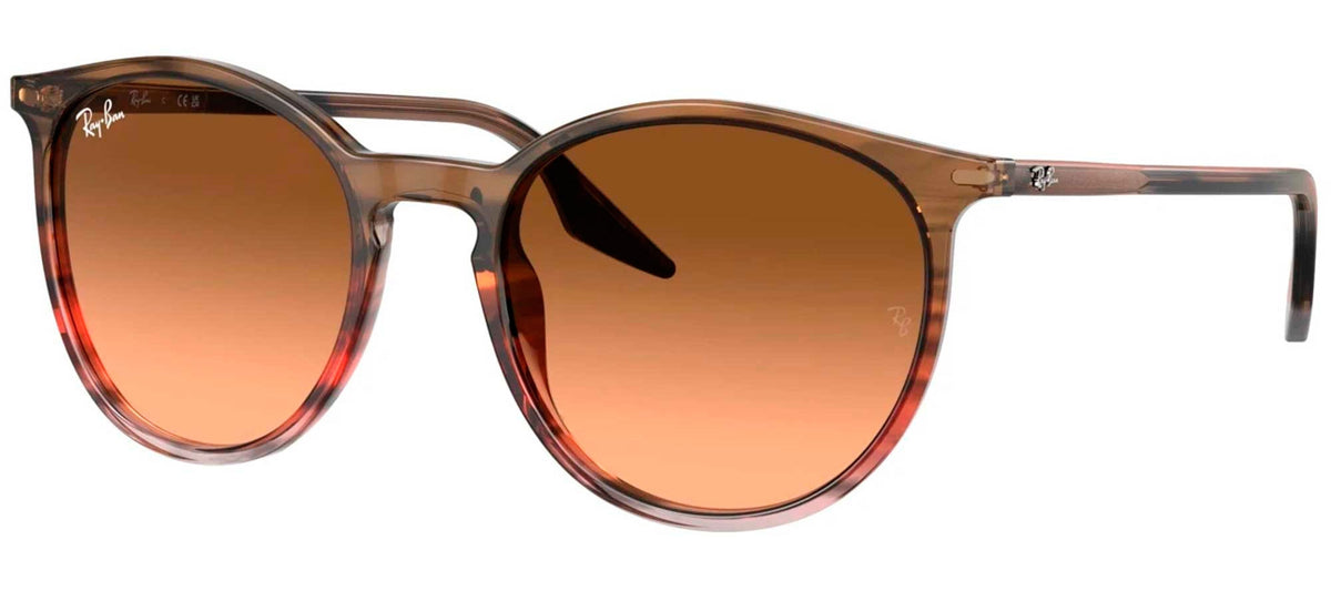 Ray-Ban Sun Collection RB2204