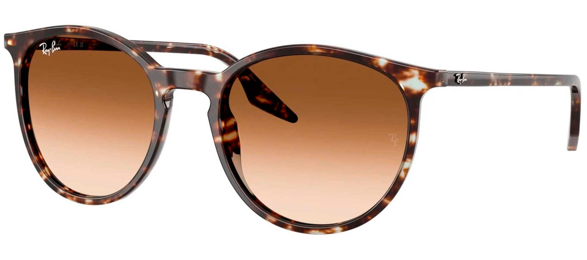 Ray-Ban Sun Collection RB2204