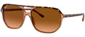 Ray-Ban Sun Collection RB2205 BILL ONE
