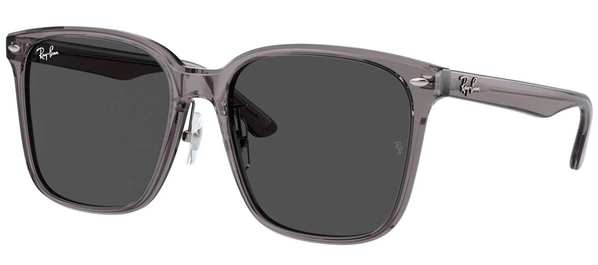 Ray-Ban Sun Collection RB2206D