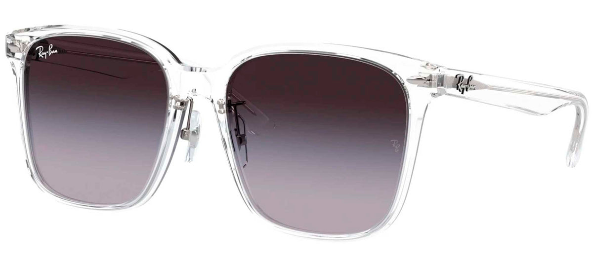 Ray-Ban Sun Collection RB2206D