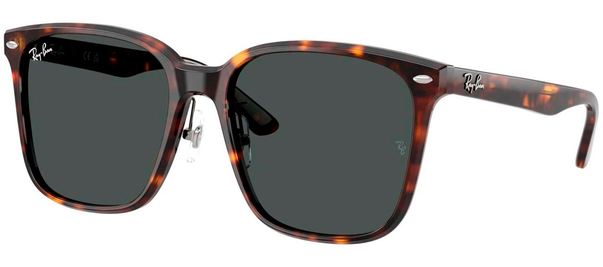 Ray-Ban Sun Collection RB2206D