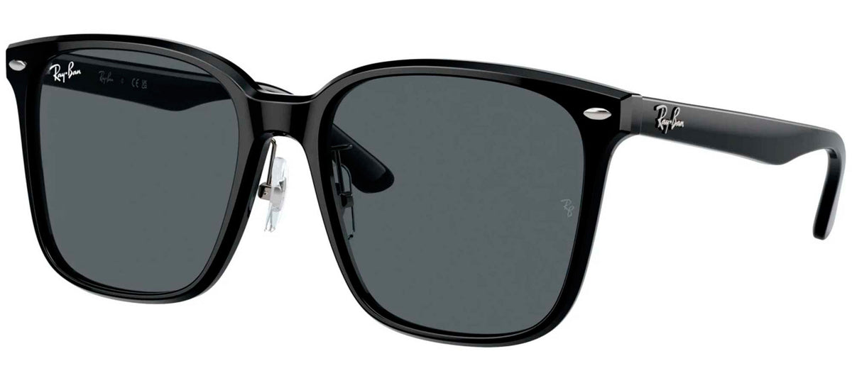 Ray-Ban Sun Collection RB2206D