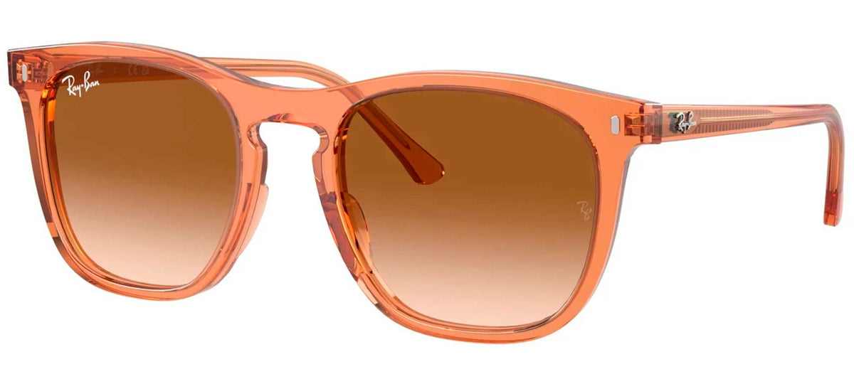Ray-Ban Sun Collection RB2210