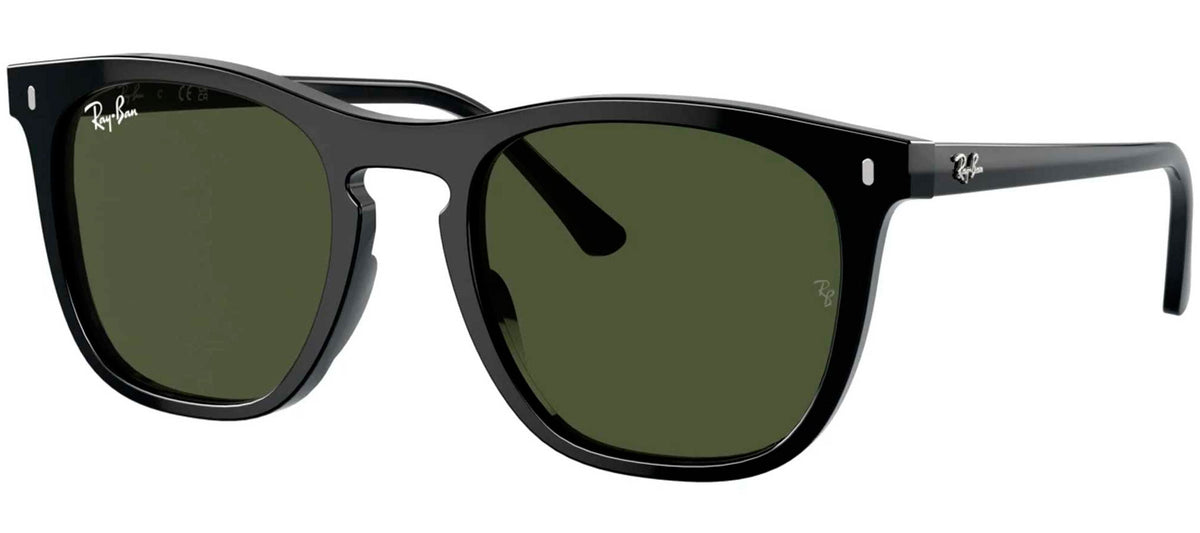 Ray-Ban Sun Collection RB2210