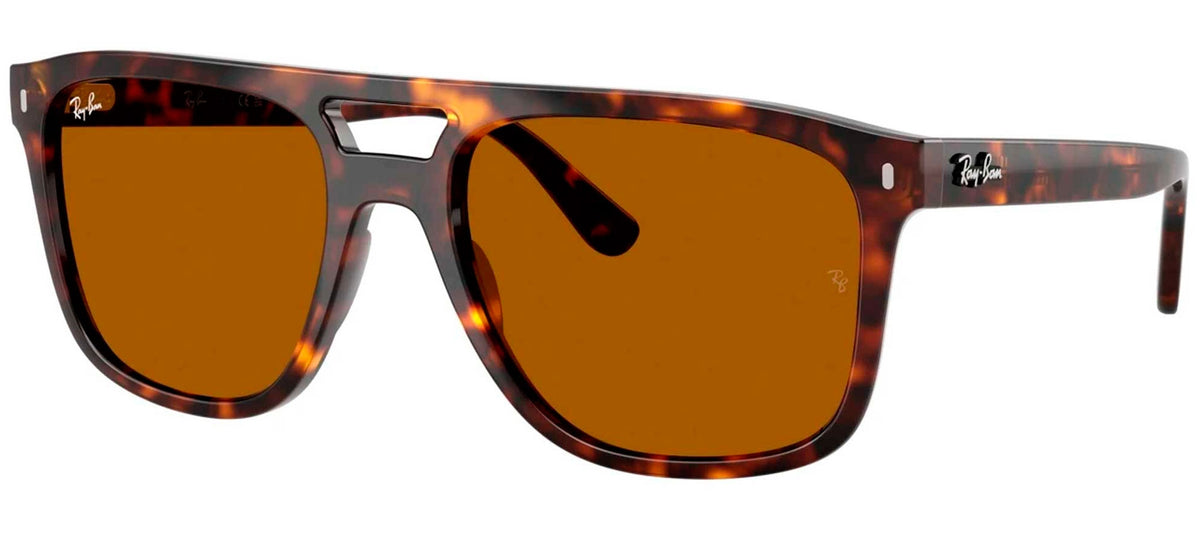 Ray-Ban Sun Collection RB2213