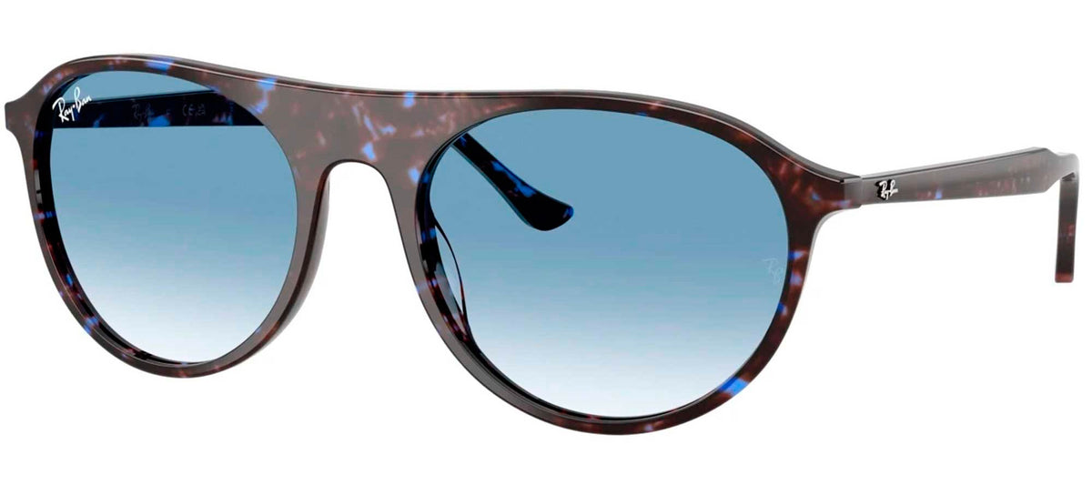 Ray-Ban Sun Collection RB2215