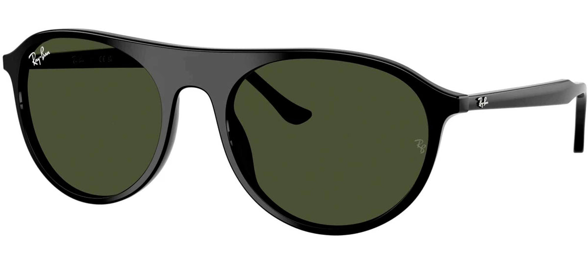 Ray-Ban Sun Collection RB2215