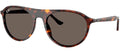 Ray-Ban Sun Collection RB2215