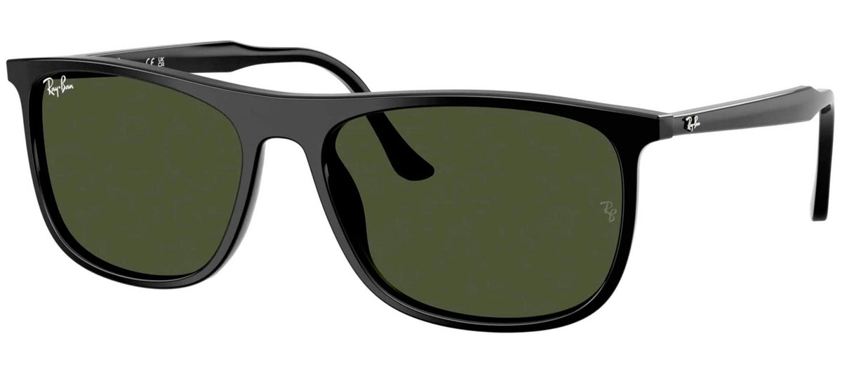 Ray-Ban Sun Collection RB2216