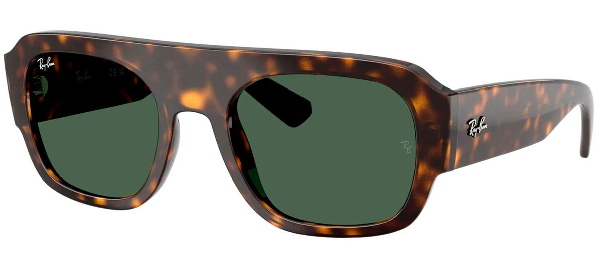 Ray-Ban Sun Collection RB2218