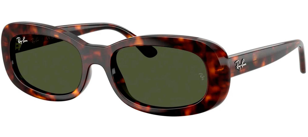 Ray-Ban Sun Collection RB2221