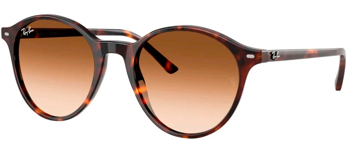 Ray-Ban Sun Collection RB2230 BERNARD