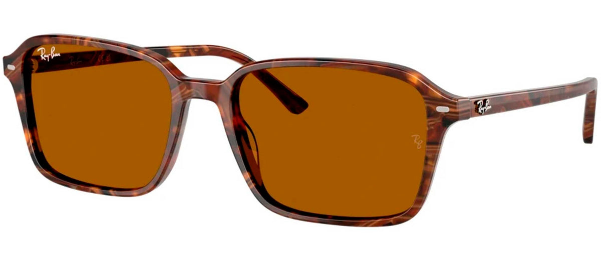 Ray-Ban Sun Collection RB2231 RAIMOND